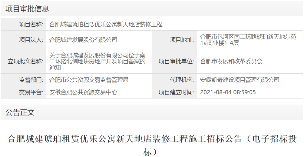 合肥城建琥珀租赁优乐公寓新天地店装修工程